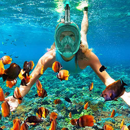 Maschera Subacquea, Mare Combo 180 ° Vista