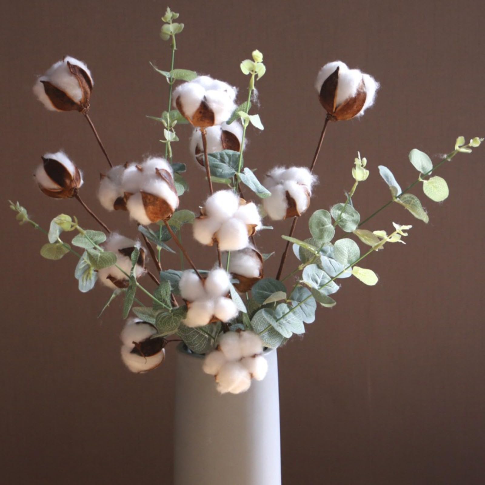 Fleurs séchées en coton avec 4 feuilles d'eucalyptus
