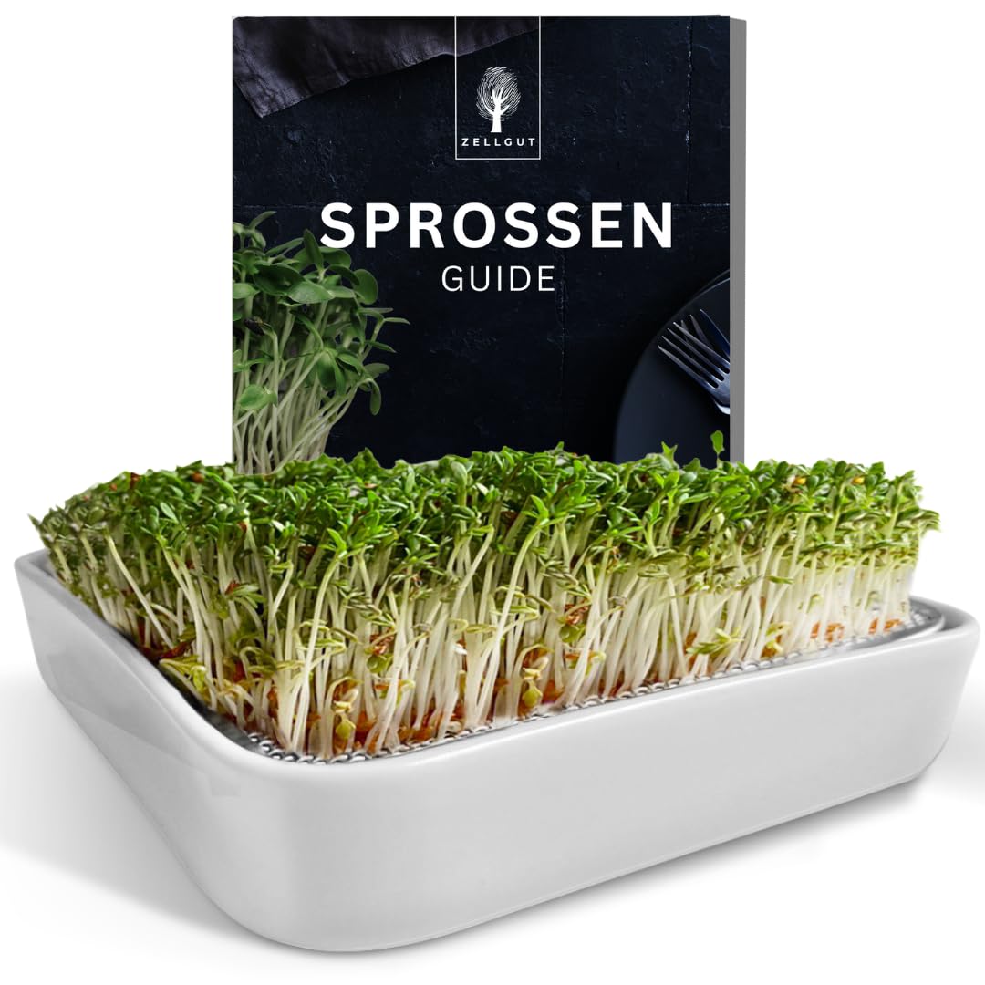 Kit Culture Microgreens ZELLGUT - Germoir Cresson Avec Tamis Inox Et Bol Céramique - Faites Pousser Des Graines Germées Facilement !
