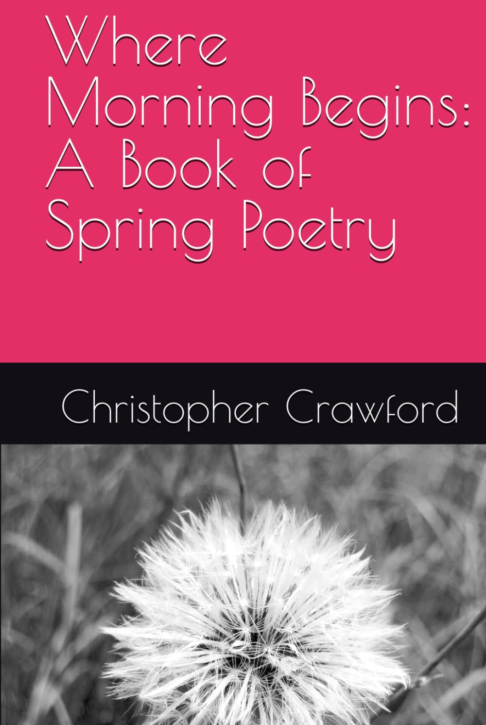 Where Morning Begins: A Book of Spring Poetry