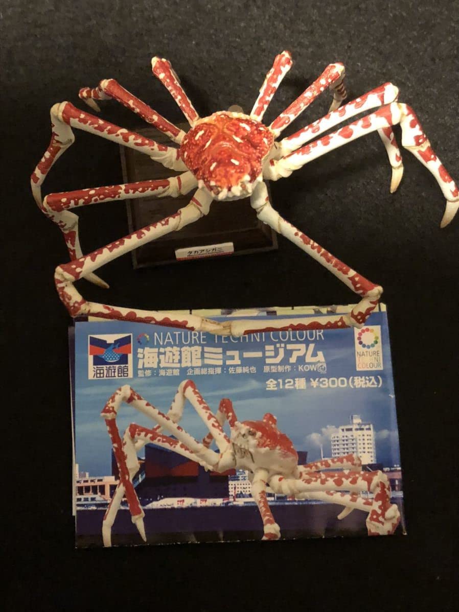 ネイチャーテクニカラー タカアシガニ フィギュア 海遊館ミュージアム 奇譚クラブ Amazon.co.jp: ネイチャーテクニカラー 海遊館ミュージアム
