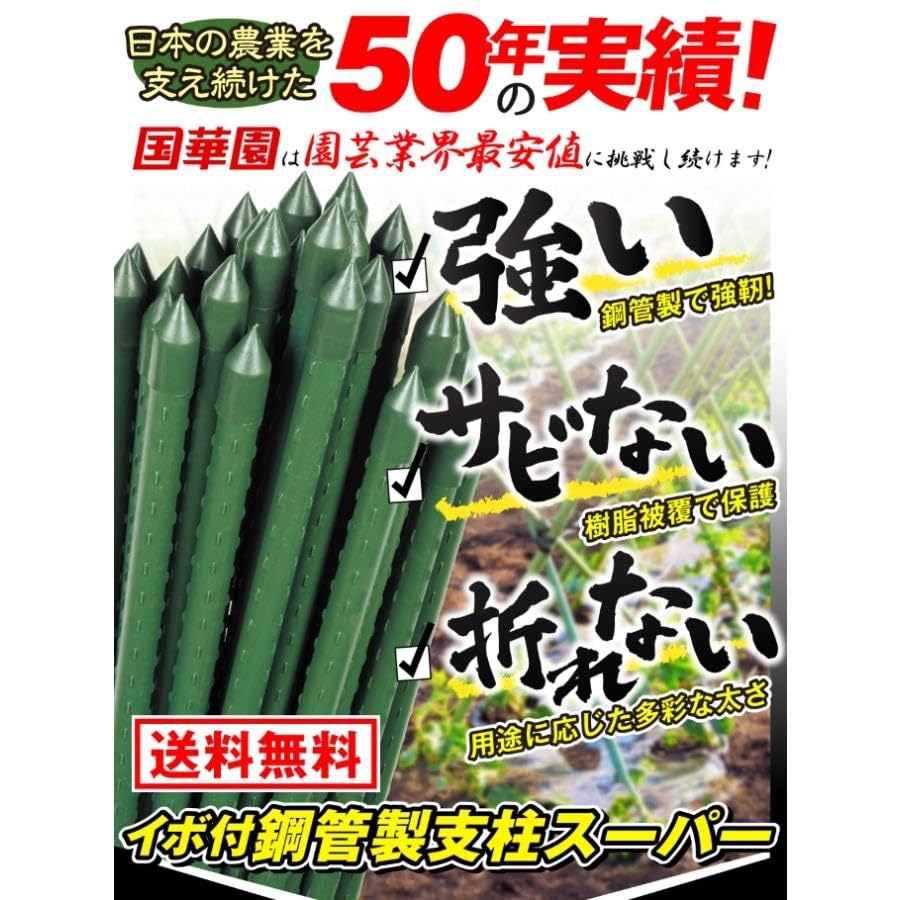 オリジナル園芸用イボ付き鋼管支柱  50本入り 1.1×150×4梱　200本 Amazon | 園芸支柱 Φ20mm 50本 1800mm イボ付き支柱 イボ竹