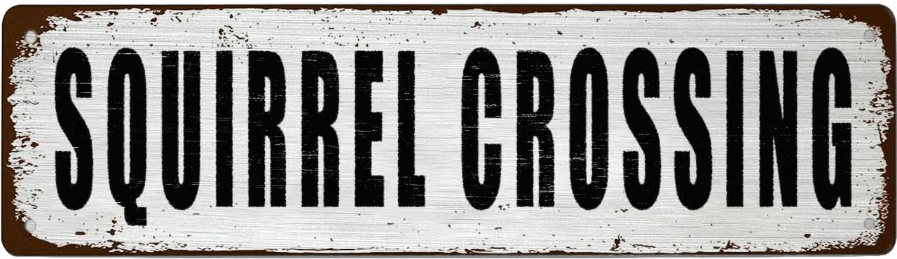 Funny Vintage Tin Metal Sign - SQUIRREL CROSSING - For Office,Garage,Garden And Man Cave,Coffee Station Decor,4x16 Inch