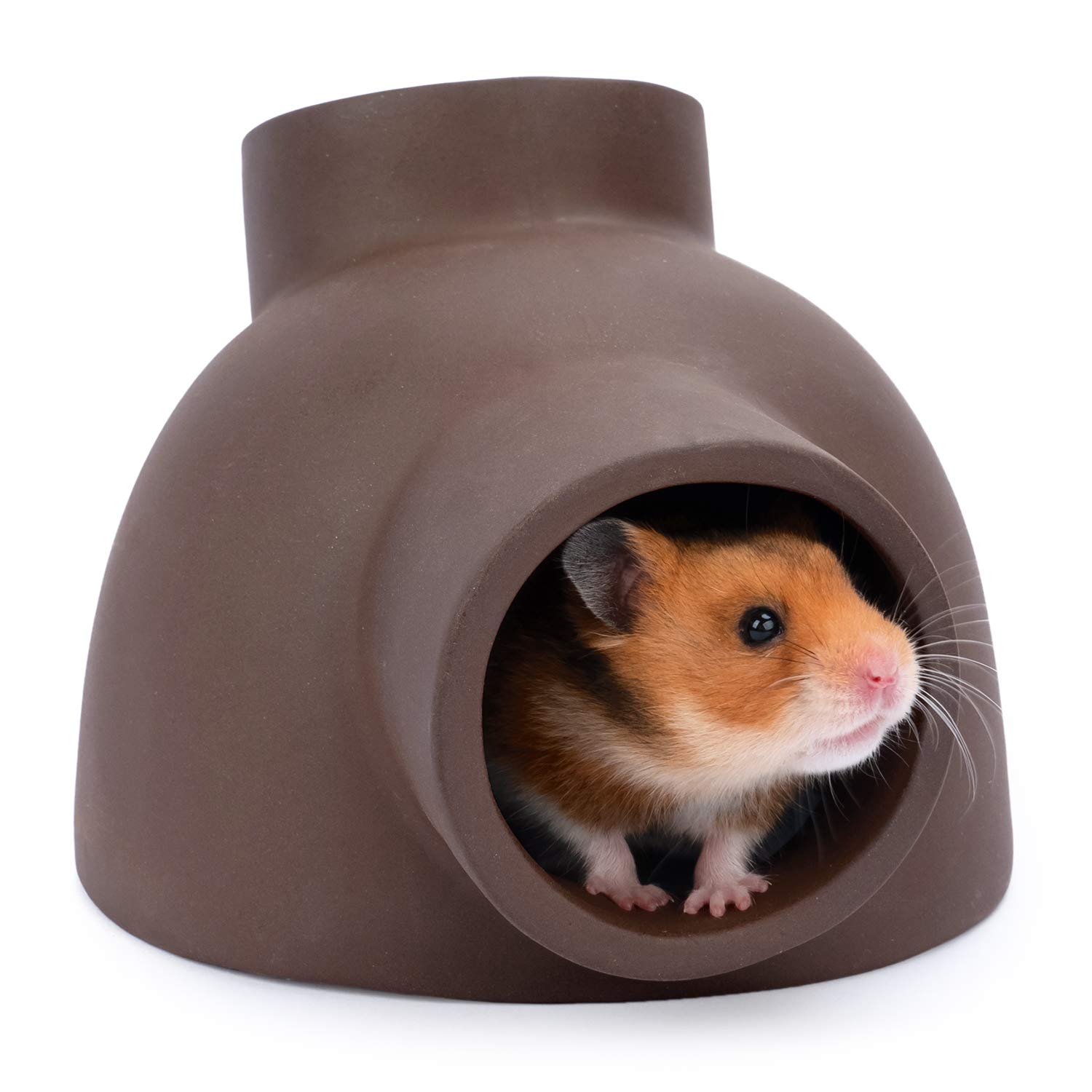 dwarf hamster hideout