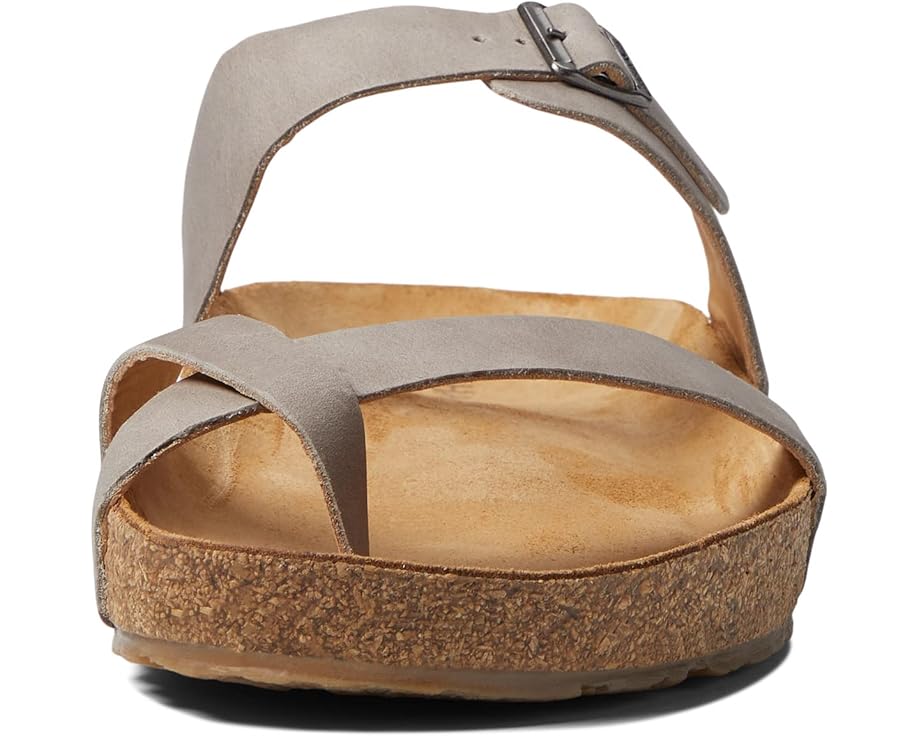 Haflinger Juno - Top View