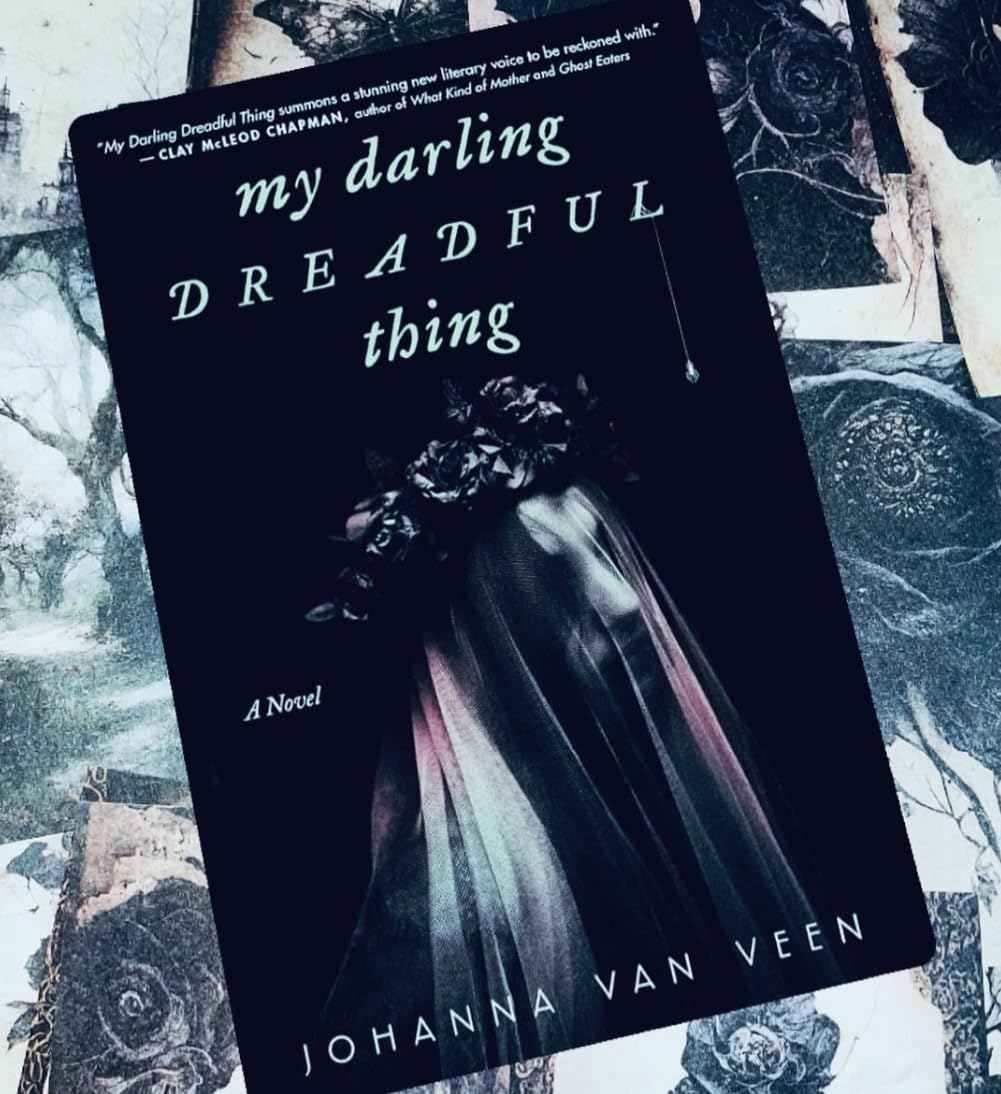 My Darling Dreadful Thing A Novel Amazon.co.uk Veen, Johanna van