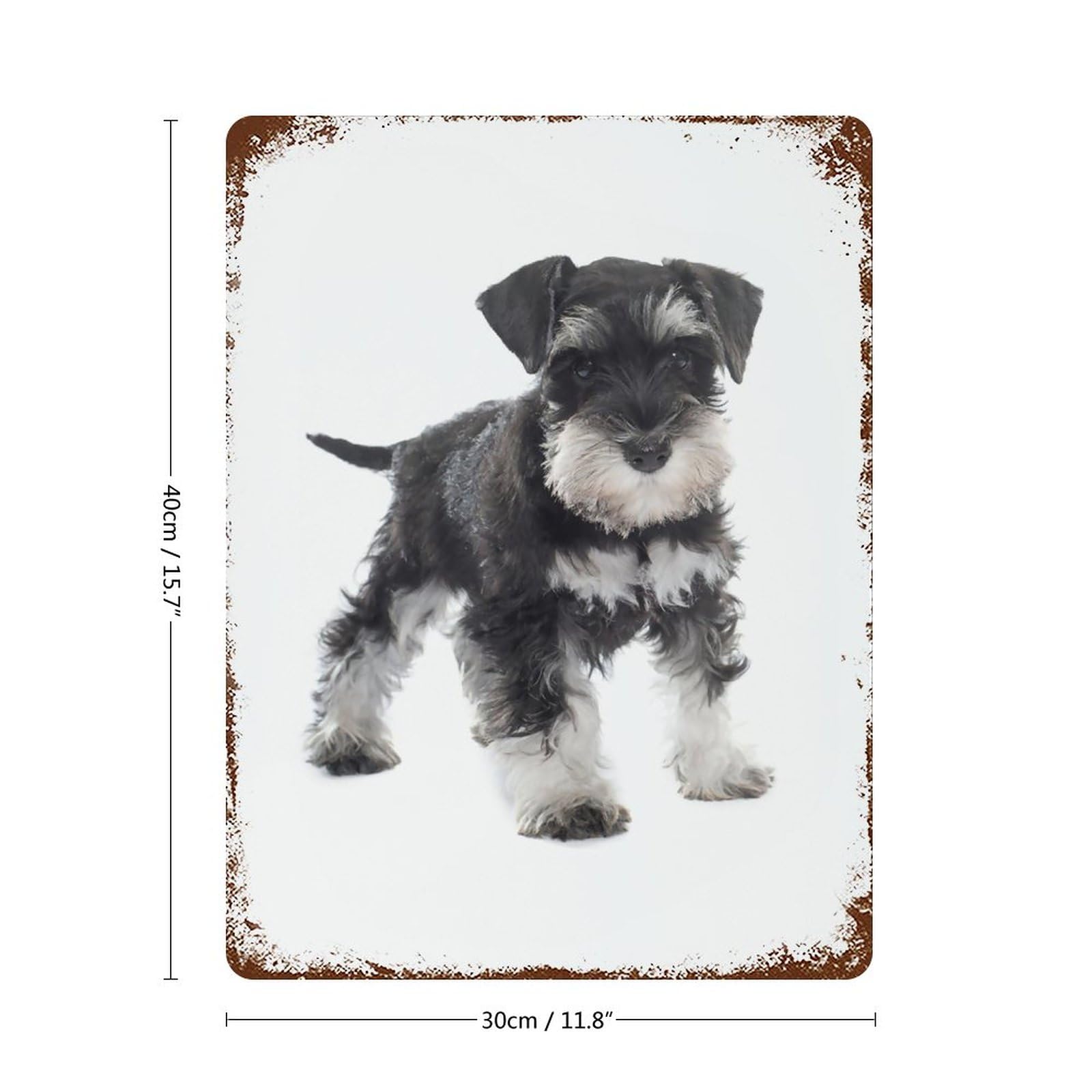Amazon.co.jp: ブリキ看板 ミニチュアシュナウザー 犬 金属