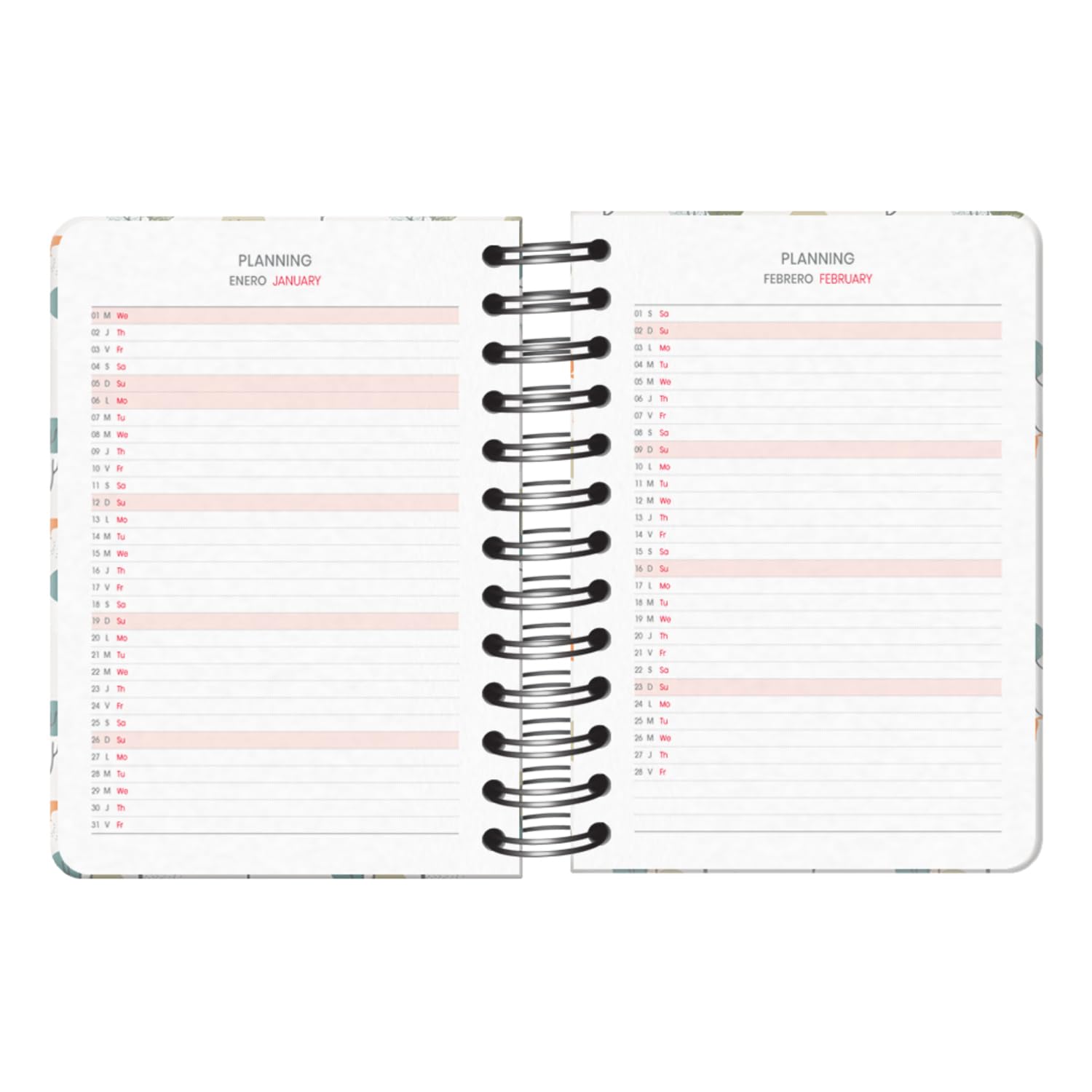 Dohe, School Diary 2024 2025, Day by Page, Size A6 (12 x 17 cm), Ring Closure and Rubber, Spanish and English - Image 4