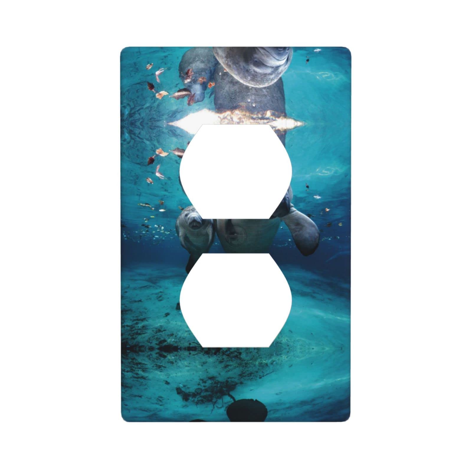 Buy Indian Manatees Double Socket Decorative Wall Panel, Socket Panel ...