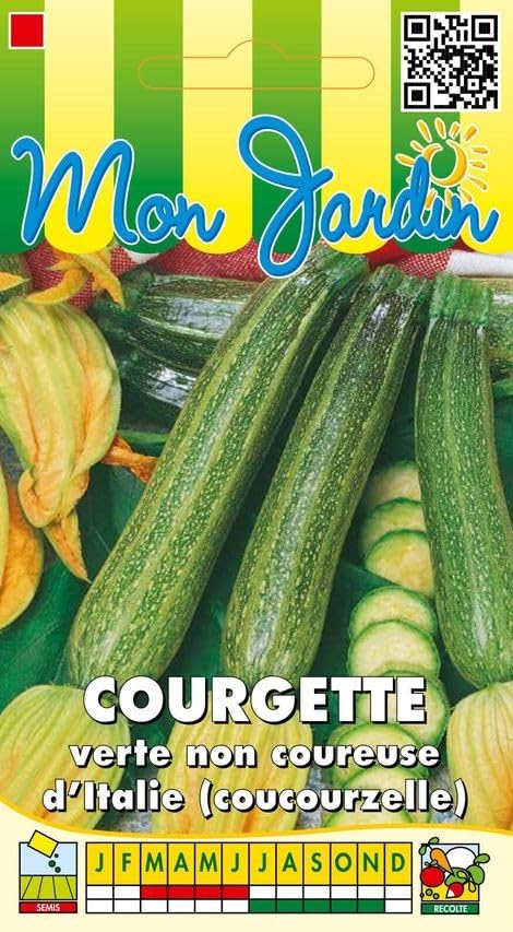 Sachet de graines de Courgette verte non coureuse d'Italie - 5 g - légume fruit - LES GRAINES BOCQUET