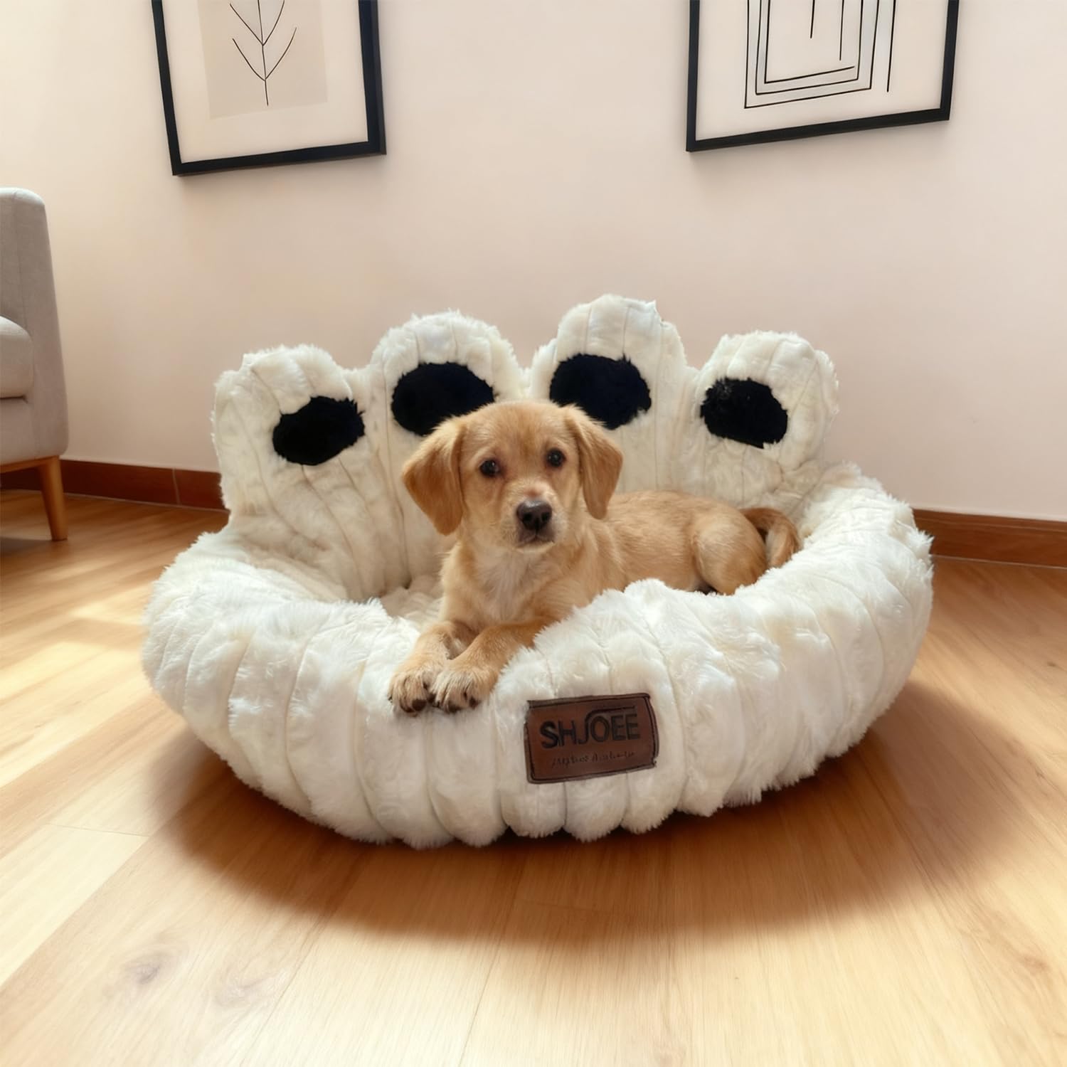 Cuccia Cane Interno Letto Morbida per Cani Lettino Gatto Lettino per Animali Domestici Cuccia per Gatti Fluffy Peluche Letto per Cani Lavabili Antiscivolo (Beige, 60cm)