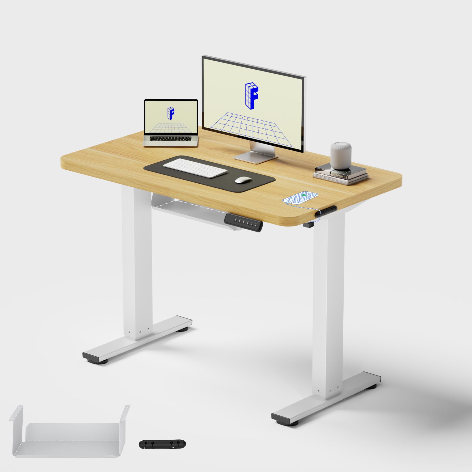 FLEXISPOT Escritorio Elevable Eléctrico 100x60, Tablero Entero, 4 Memorias