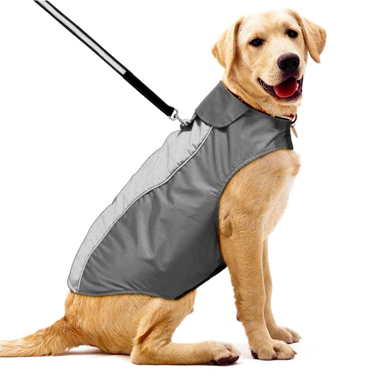 INOOMP 2pezzi Cappotto Invernale per Cani di Taglia s Giacca Calda per Cani con Fodera Imbottita e Dettagli Riflettenti Abbigliamento per Esterni Nero