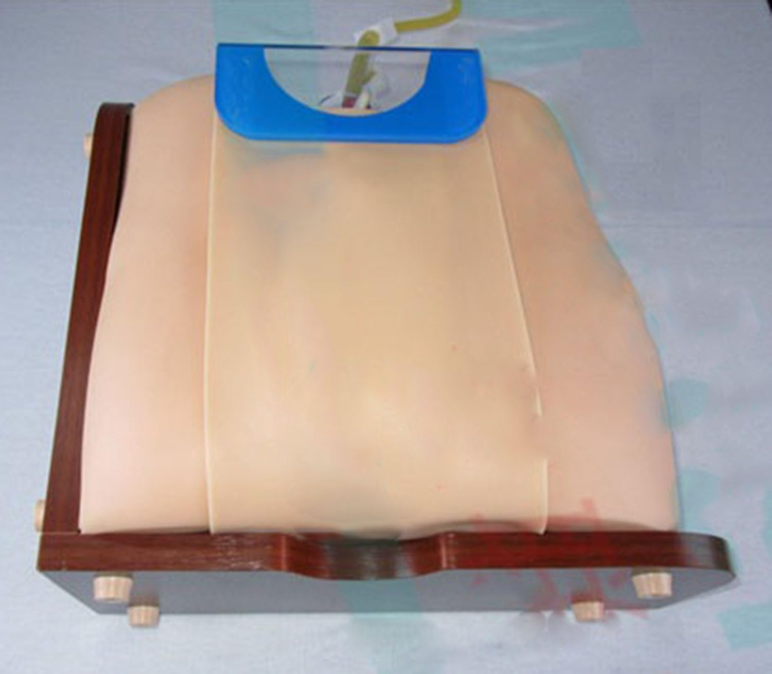 Spine Puncture Training Model,Adult Lumbar Puncture Simulator,Spinal and Epidural Anesthesia Clinical Training Model