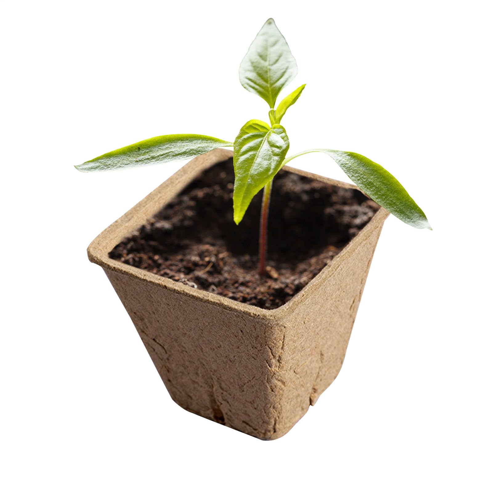 Pflanzliche Tpfe, kompostierbare Pflanzentpfe - Abbaubare Pflanzentpfe -  Starter der Blumenkeimung, Rasenplatte, Gartenzubehr fr alle  Gemsekeimung: Amazon.de: Garten