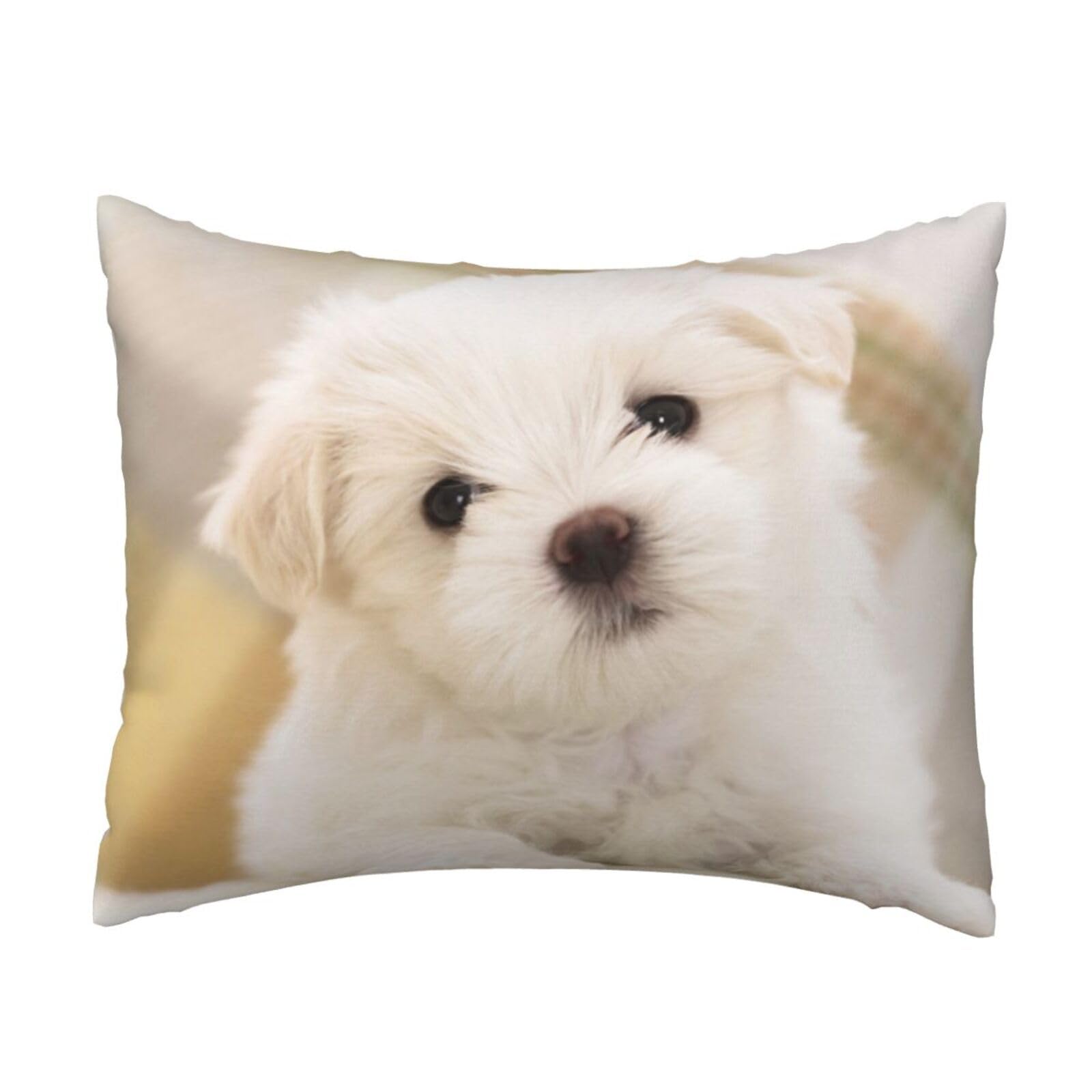 YFSGDLBN Cute Maltese Puppy printed Pillow Case 20x26in decorative Cushion Cover pillowcase
