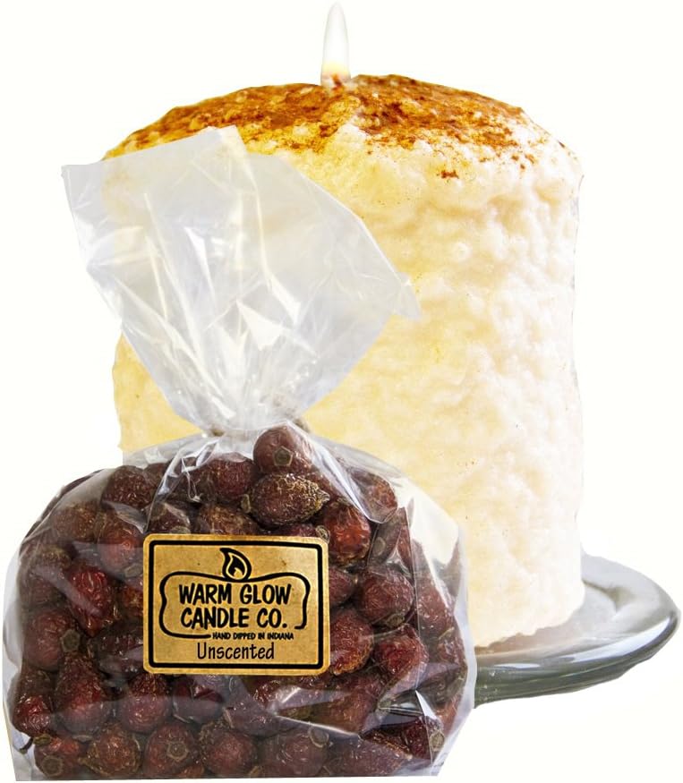 Warm Glow Candle Company Snickerdoodle Hearth Pillar Candle
