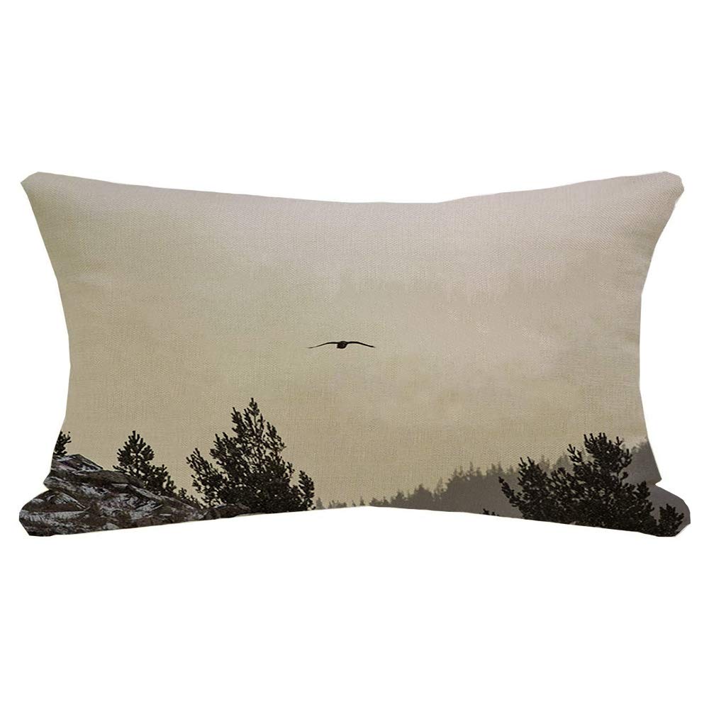 Pillow Cases Buteo Birds Branch Flying Mountains Animals Feathers Wildlife Water Flight Wild Nature Avian Wing Cushion Cover Decorative,Standard Pillow Cover For Gift Decoration Bed 40X60Cm