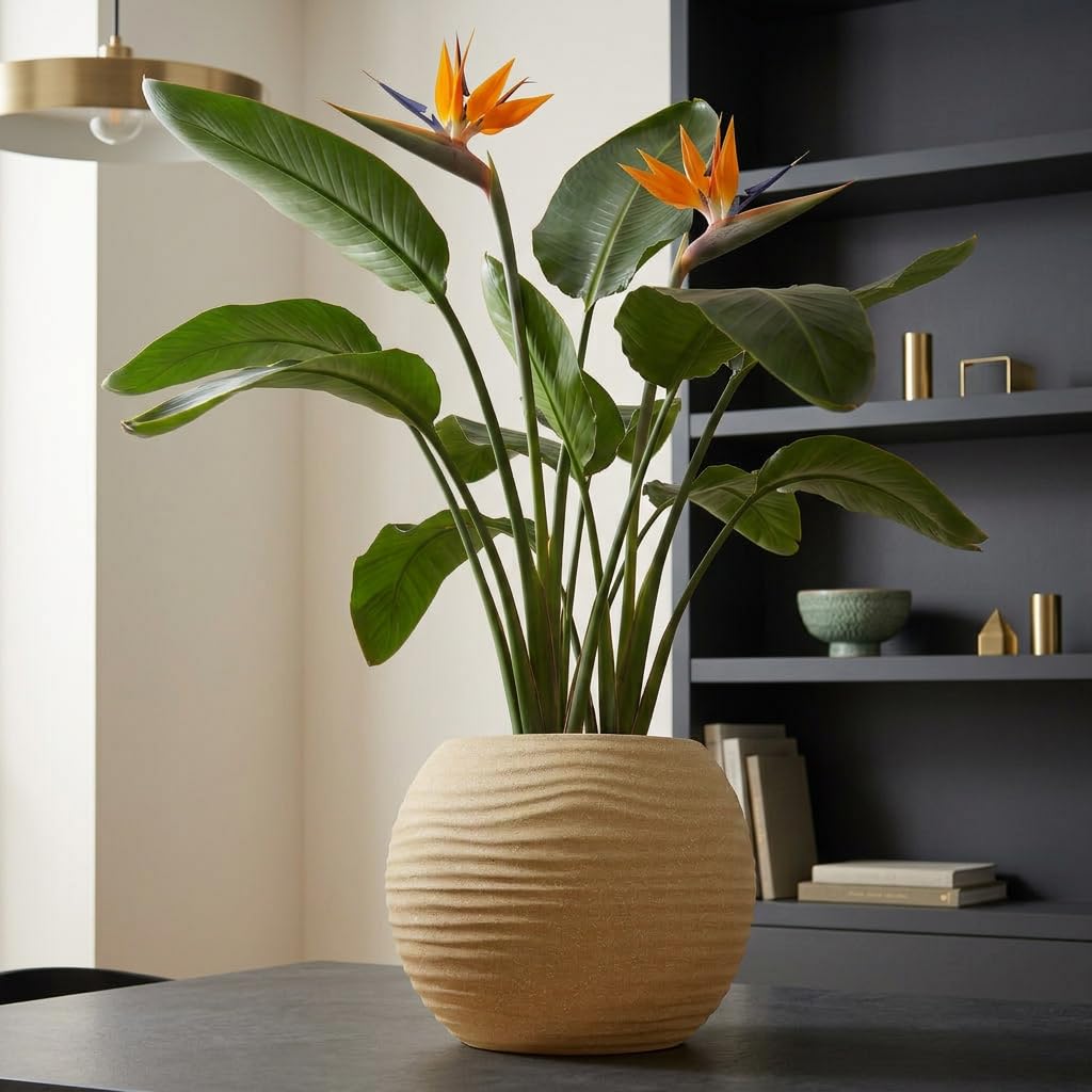 YUCCABE Fox Planter - Grey Wave Pot with Plate -11