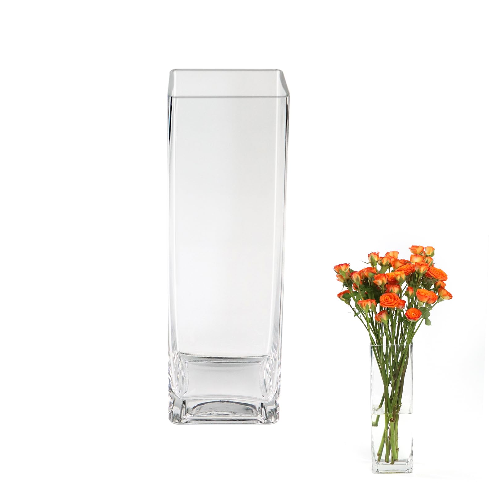 ASSRECT Jarrones de Cristal Cuadrados 25cm, Jarrón Cristal Transparente para Flores, Jarrón de Mesa en Estilo Minimalista Moderno para Fiestas Patio Oficina Hogar Cocina, 25 x 8cm