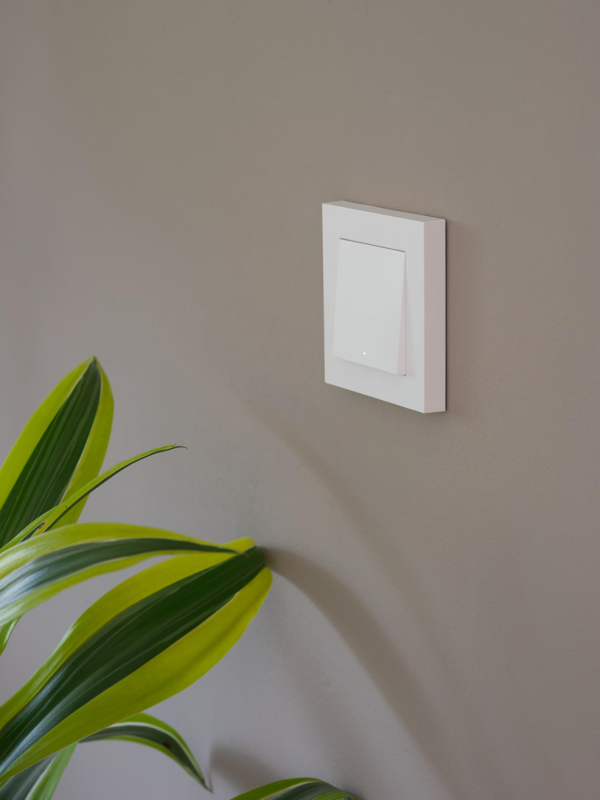 SMART+ WIFI MATTER WALL SWITCH 1 Channel