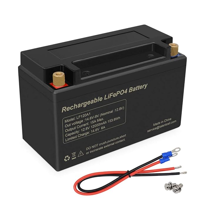 Buy TalentCell Rechargeable 12V Lithium Iron Phosphate (LiFePO4
