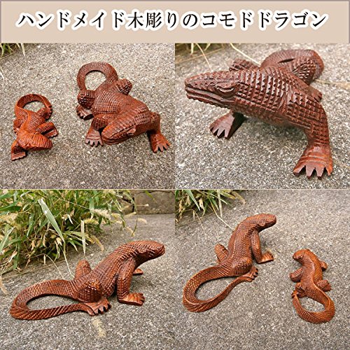Amazon.co.jp: 木彫りのコモドドラゴン [並行輸入品] : ホーム＆キッチン