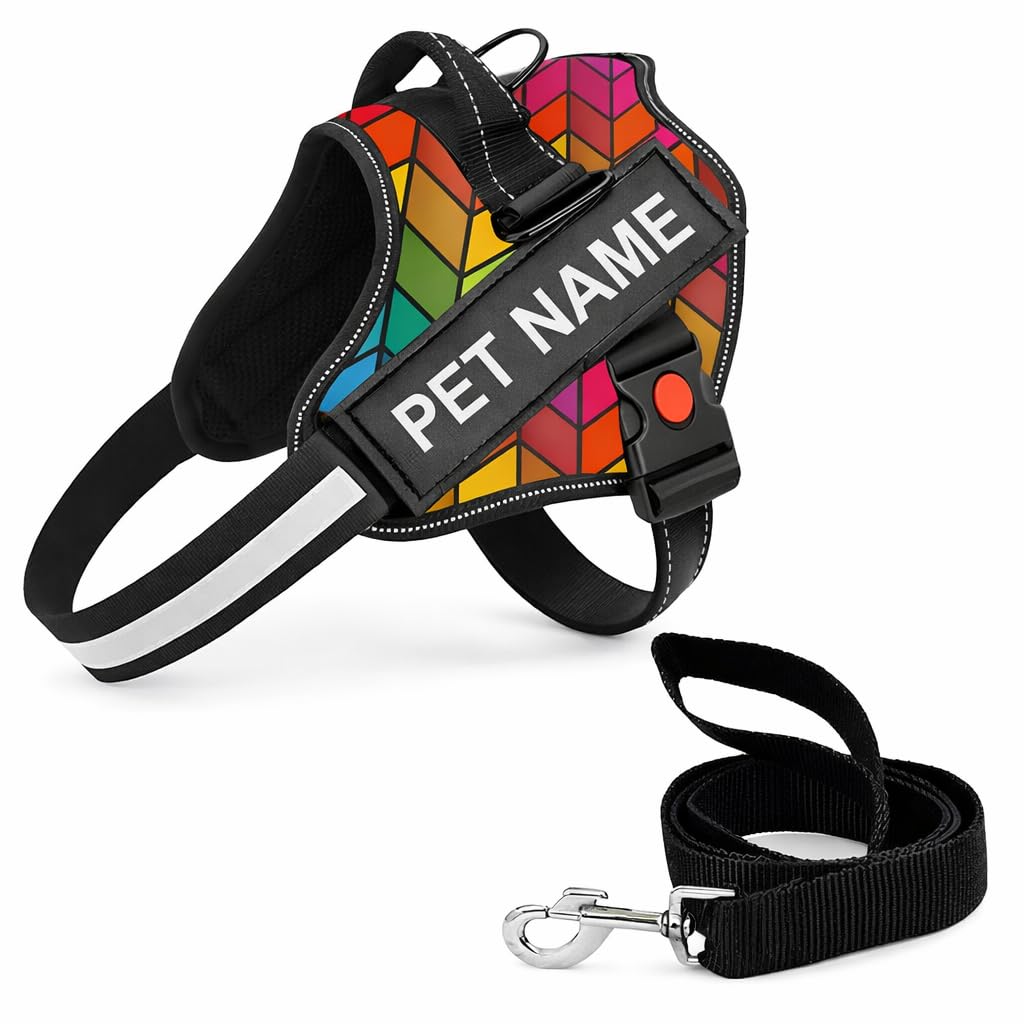 Berlin's PET ACCESSORIES Personalized Dog Harness with Pet Name & Phone Number, No Pull Dog Vest,Escape Proof Reflective Dog Harness, Custom Patches with Hook Backing (Rainbow, Small (5-12KGS))