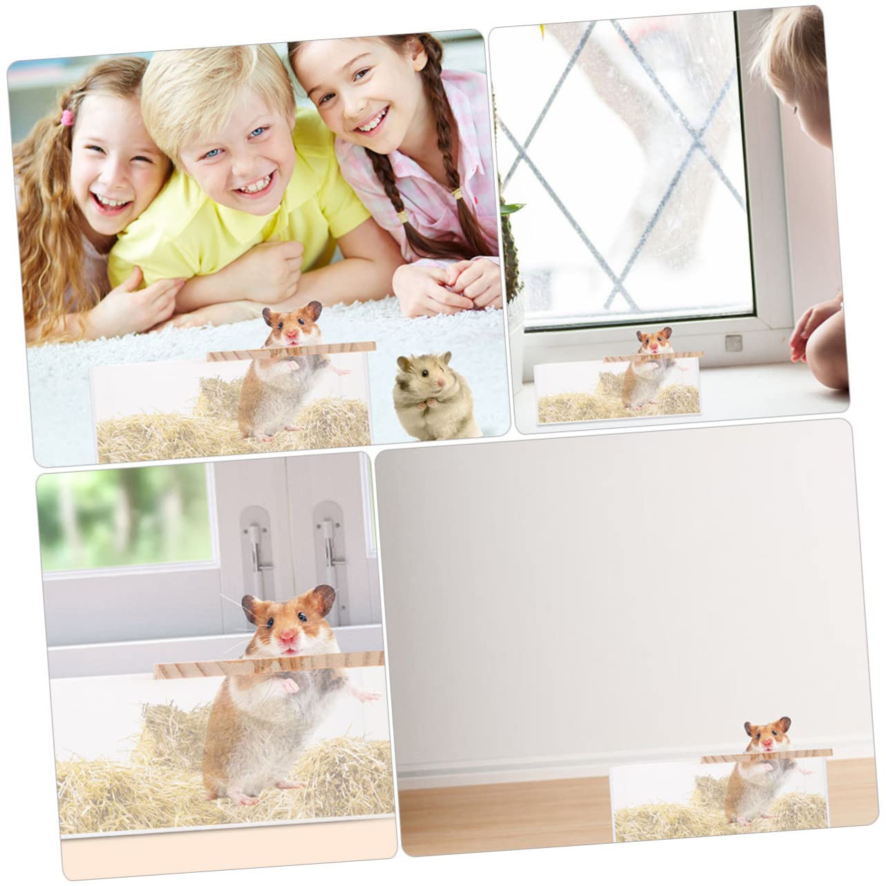 IMIKEYA Transparente Chinchilla Badewannen aus Acryl und Holz 2 Stück Leicht und Sicher für Empfindliche Kleintiere zum Baden und Spielen zu Hause