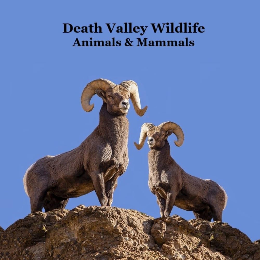 Death Valley Animals and Mammals Kids Wildlife Book: Great Book About Animals that Live in the Hot Desert of Death Valley