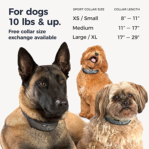 Link AKC Smart Dog Collar - GPS Location Tracker, Activity Monitor, and More, Sport Large/Extra Large (KITSV03)