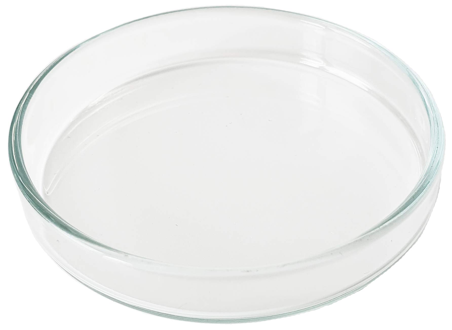 GARNELEN4YOU® Futterschale | Echtglas Made in Germany | Premium Futter-Schale aus Laborglas für Garnelenfutter | sichere & gezielte Fütterung | Glas statt Acryl-Plastik | (1x 6 cm)