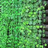 Material: tela y plástico. Enredaderas con plantas y flores artificiales, ratán color verde, 2,40 m de longitud, para decoración del hogar, 10 unidades, de MyLifeUNIT, plástico, hojas sandía, 95 Inch