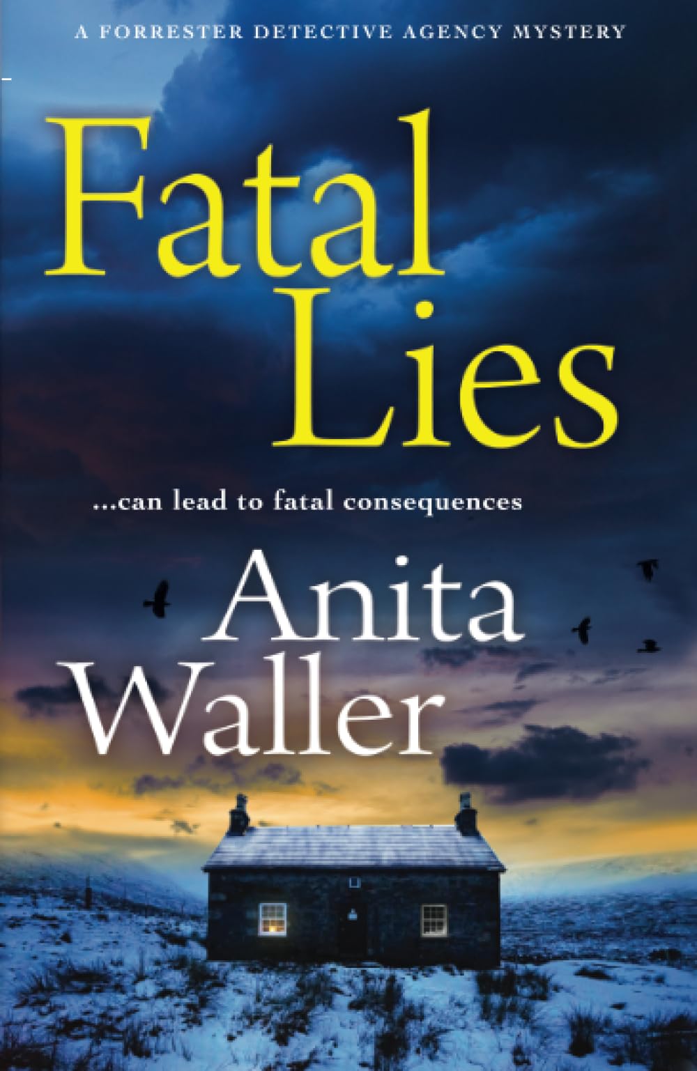 Fatal Lies: An utterly gripping mystery from Anita Waller, bestselling author of The Family at No 12 (The Forrester Detective Agency Mysteries, 2)