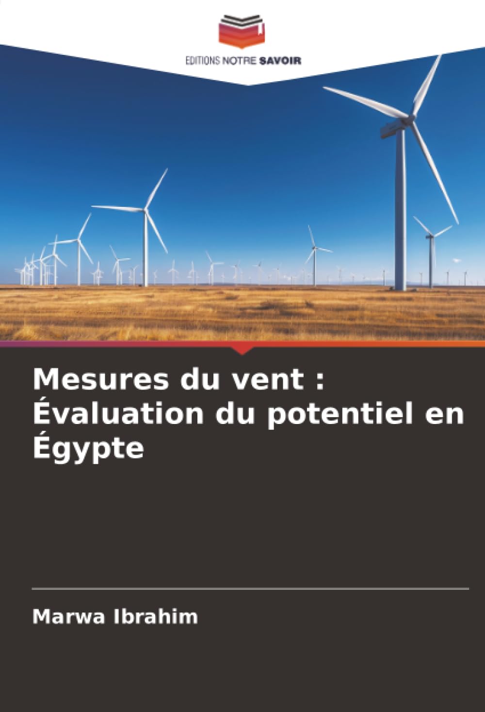 Mesures du vent : Évaluation du potentiel en Égypte