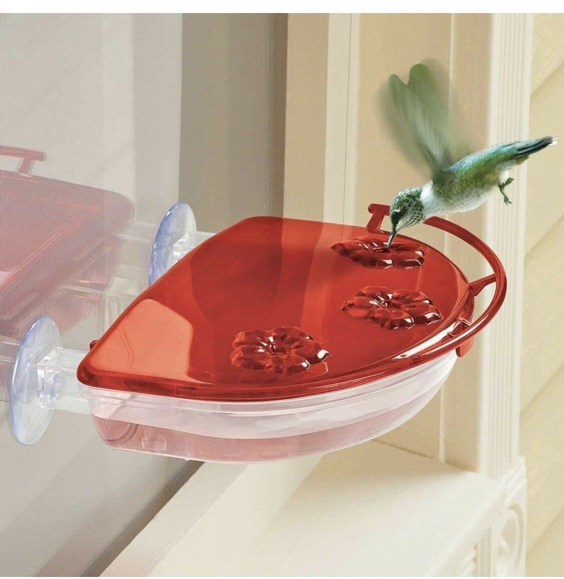 Hummingbird Window View Feeder Jewel Box Suction Cups Bird