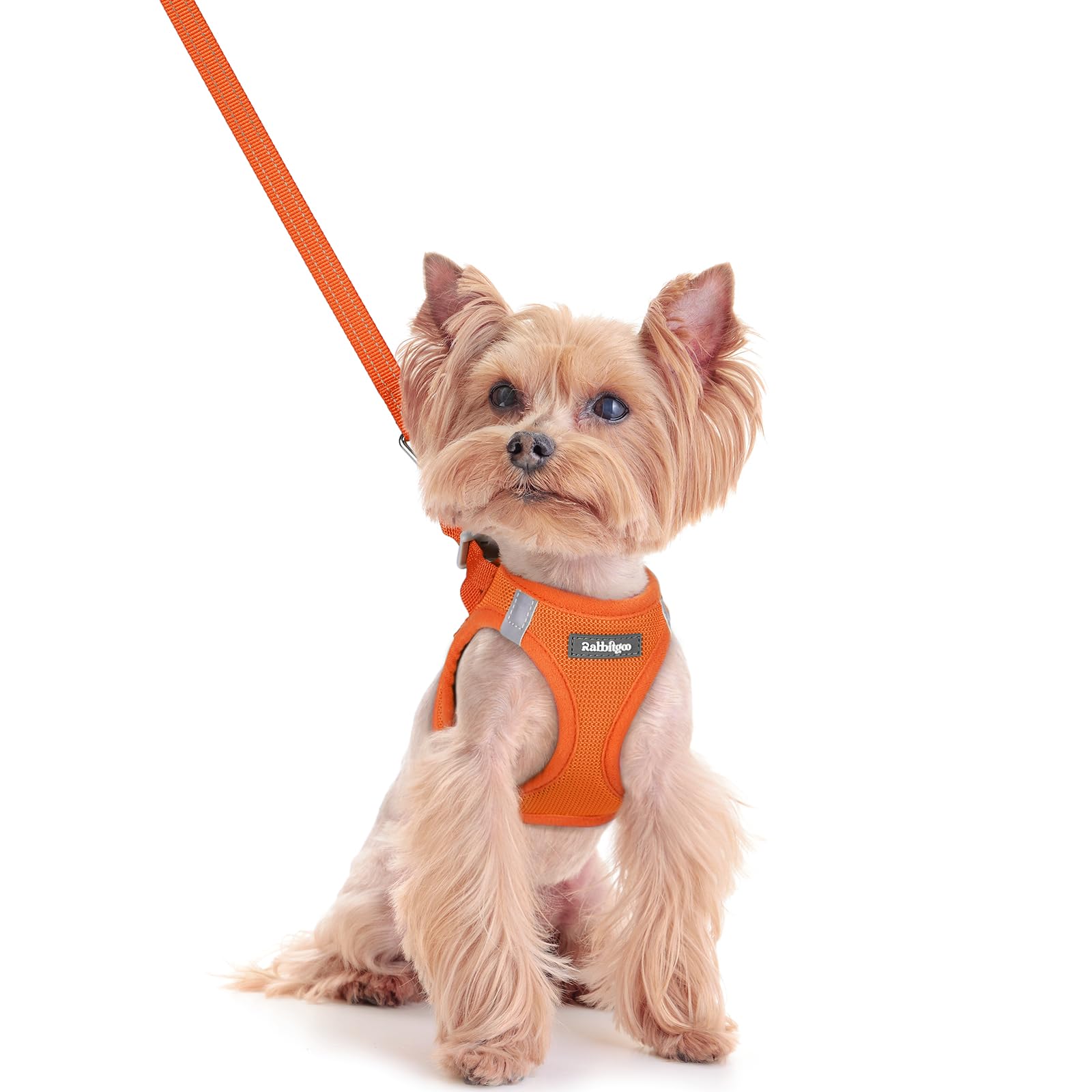 rabbitgoo Dog Harness Small Dog and Leash Set, Step-in Soft Mesh Puppy Harness with Reflective Strips, Lightweight Breathable Pet Vest for Walking Training, Orange, XXS