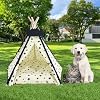 Pet Tent/Tipi for Cats & Dogs - Washable Canvas, Foldable Pet Teepee with Anti-Slip Base & Detachable Cushion | Indoor/Outdoor Safe Shelter for Pets Up to 66lbs-Beige-M