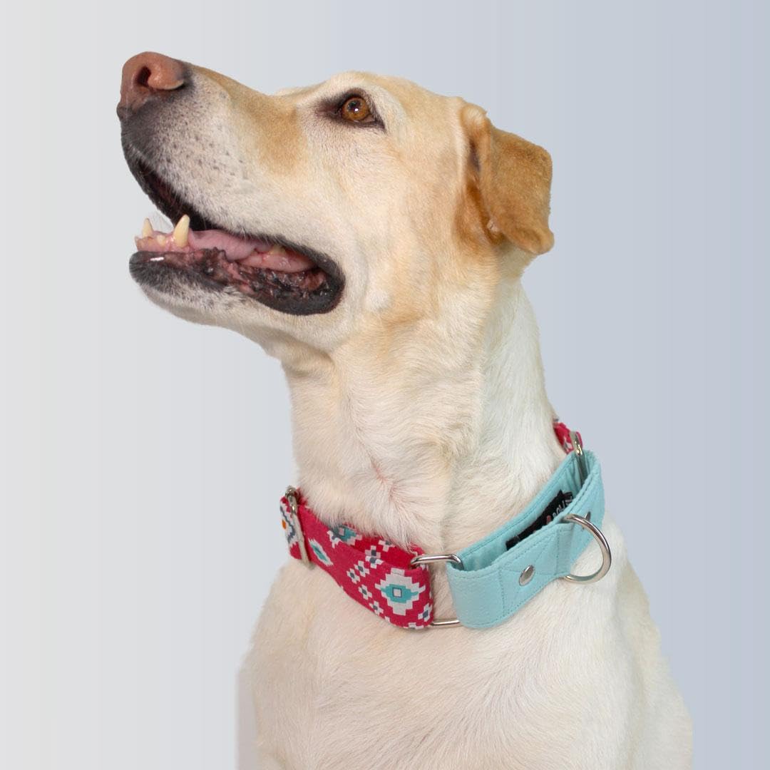 Dog-O-Bow Teal-Pink Aztec Martingale Collar for Dogs (Large) Cotton, ?19.1 x 10.5 x 4.8 cm (B0CZ95F22B) Amazon Price History, Amazon Price Tracker