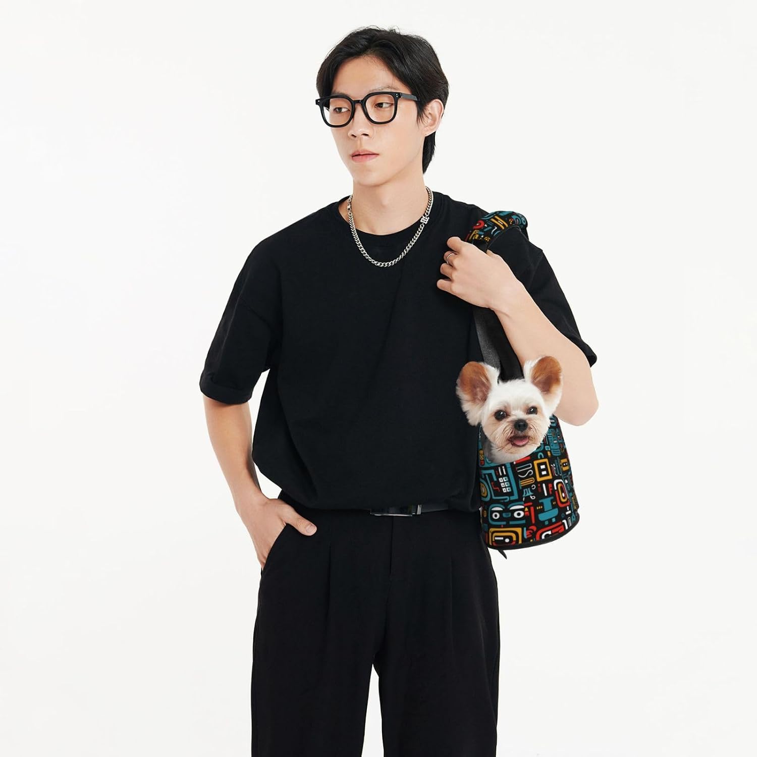 Mexican Abstract Graffiti Dog Purse Carrier,Pet Tote Bag, Bag for Small Dogs Cats Puppy