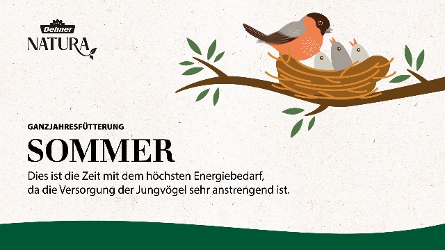 Zonnebloemptten voor de vogels n de tun