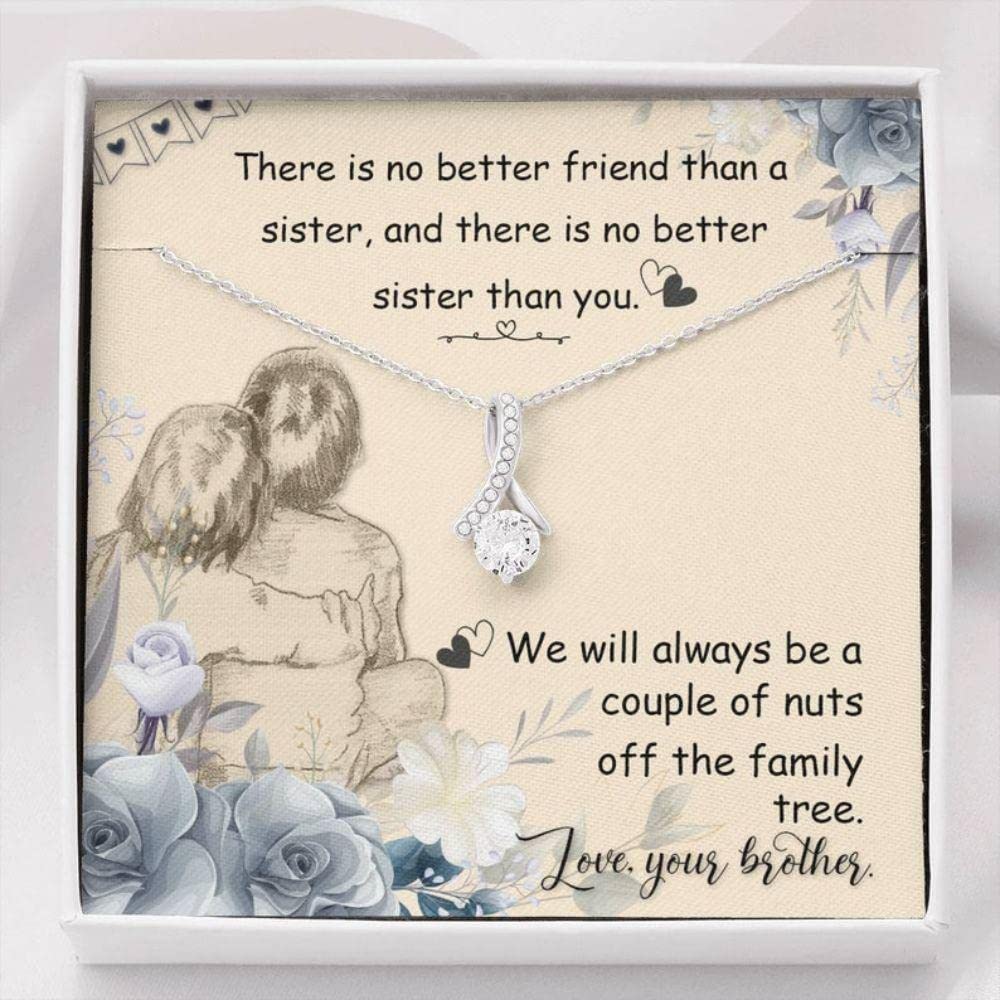 rakva 925 Silver Gift Sister Necklace, Gift For Sister, Sisters Gift, Sister Birthday Christmas Necklace (B0C5MXJ7CP) Amazon Price History, Amazon Price Tracker