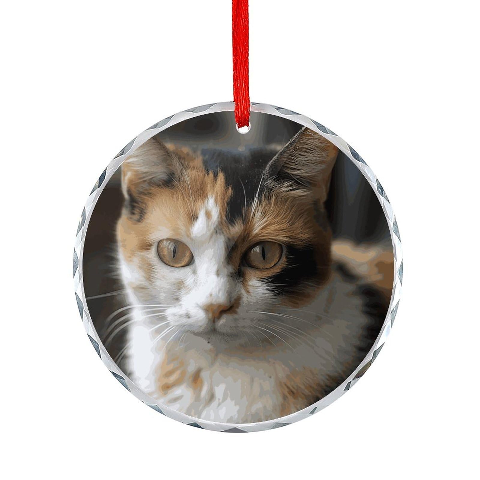 Btcowzrv Style A Cat Round Ornament Hanging Pendant Decor