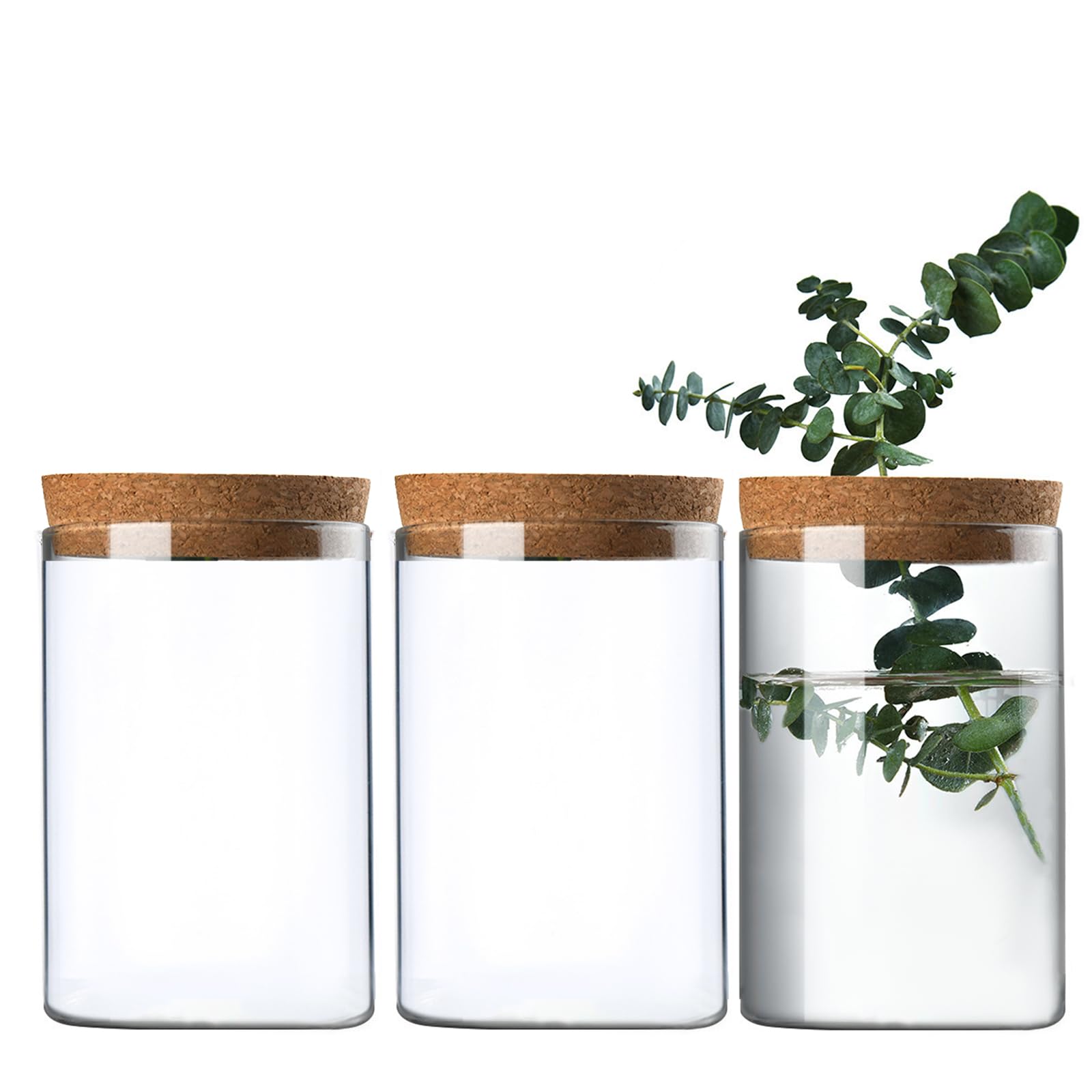 FEOOWV Clear Glass Planter Vase with Wooden Lid and Bamboo Stand for Hydroponic Plants, Succulents, Cut Flowers Gifts for Women Mom Plant Lovers (3, 2.55 * 3.93inch)