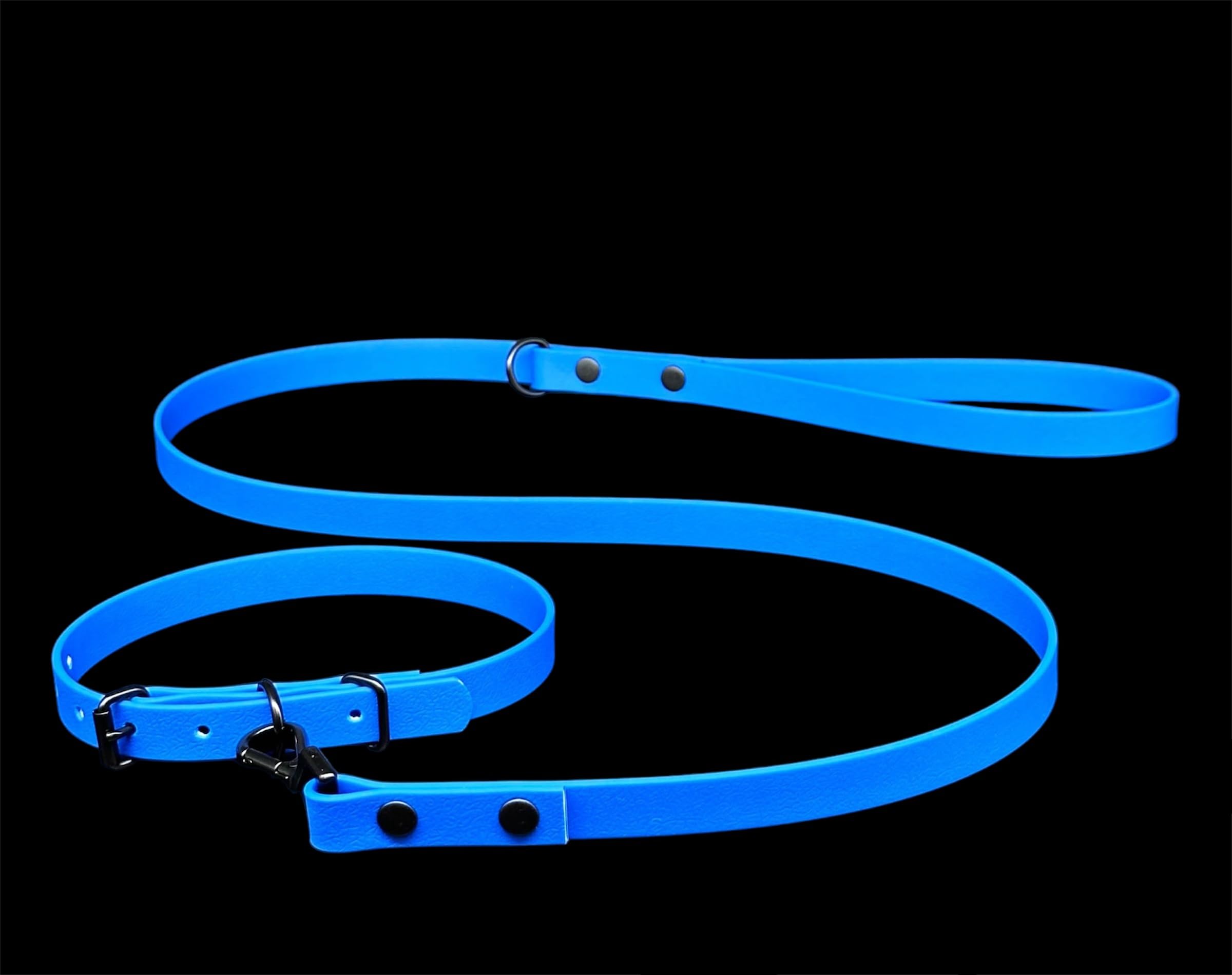 Waterproof Biothane Dog Lead & Collar Set | Metal Buckle | Black Rivets | Ultra Durable…