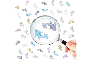 Meilinds Marvelous Nail Art Fish Charms: Adorn Your Nails with Aquatic Elegance