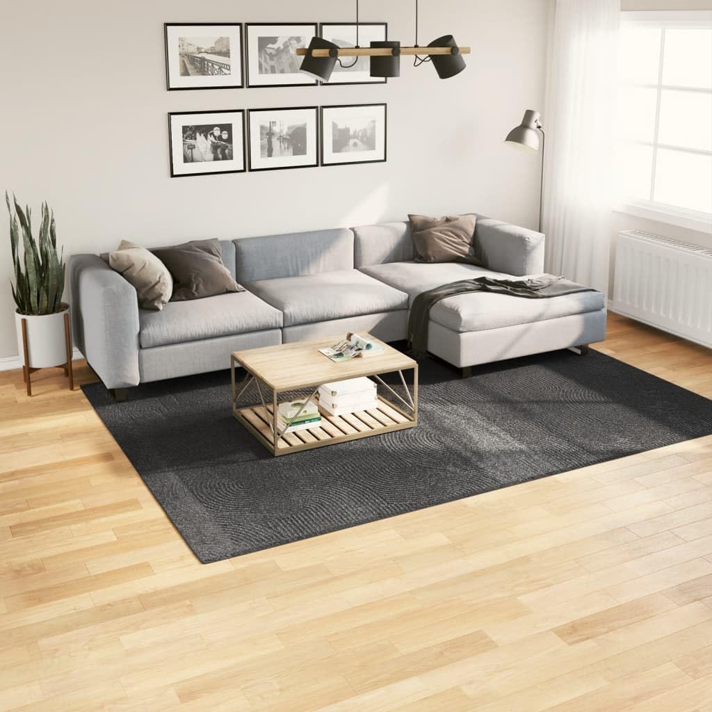 Tapis IZA Poils Courts Style scandinave Anthracite 200x280 cm,Maison & Jardin,Décorations,Tapis,8.35 kg-375431