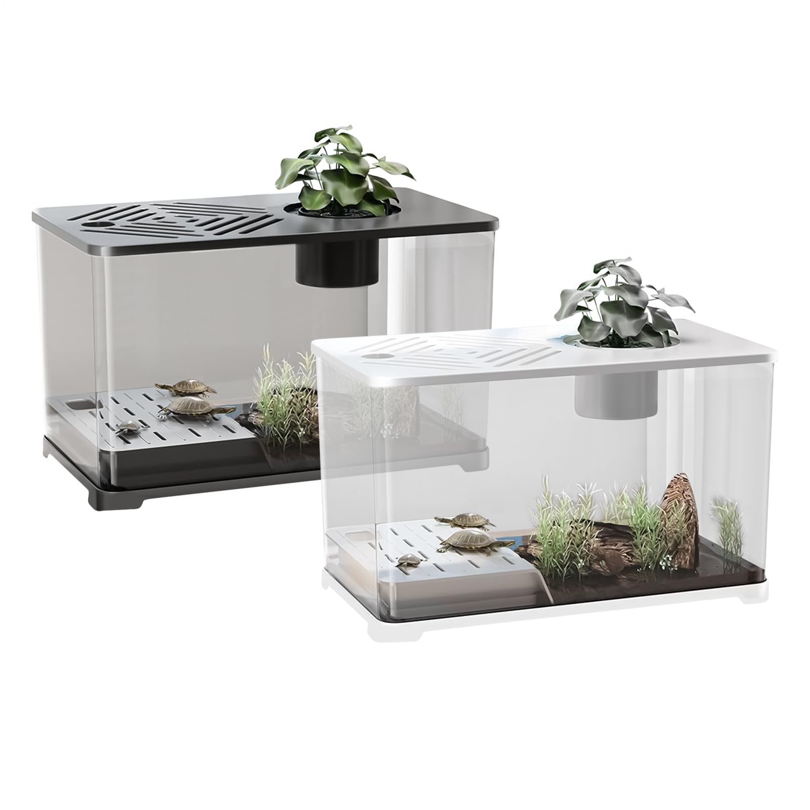 Aquarium Fischbecken Großes Aquarium-Set Schreibtisch Fischbecken | Modernes Panorama Behältnis als Tischdekoration für Fische Garnelen Schildkröten Pflanzen