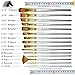 MyArtscape Paint Brush - Set of 15 Art Brushes for Watercolor, Acrylic & Oil Painting - Short Handles