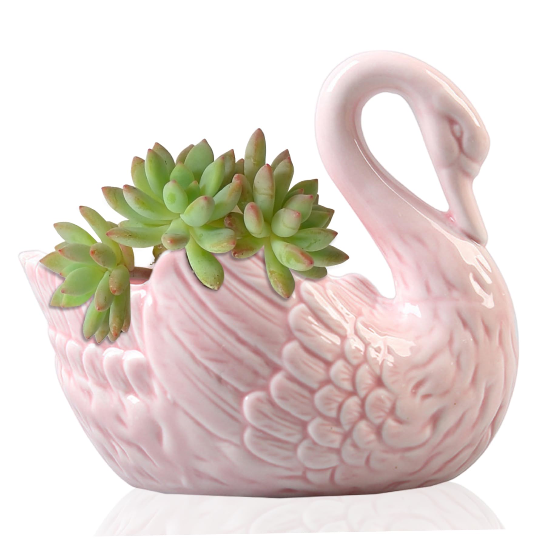 Wedhapy ceramic planter Succulent Plant Pot, Swan Flower Pot, Small Plant Pots, Multi-Function Candlestick Swan Ceramic Ornaments Jewelry Storage Box for Home(9.5x9.8cm, rosy)